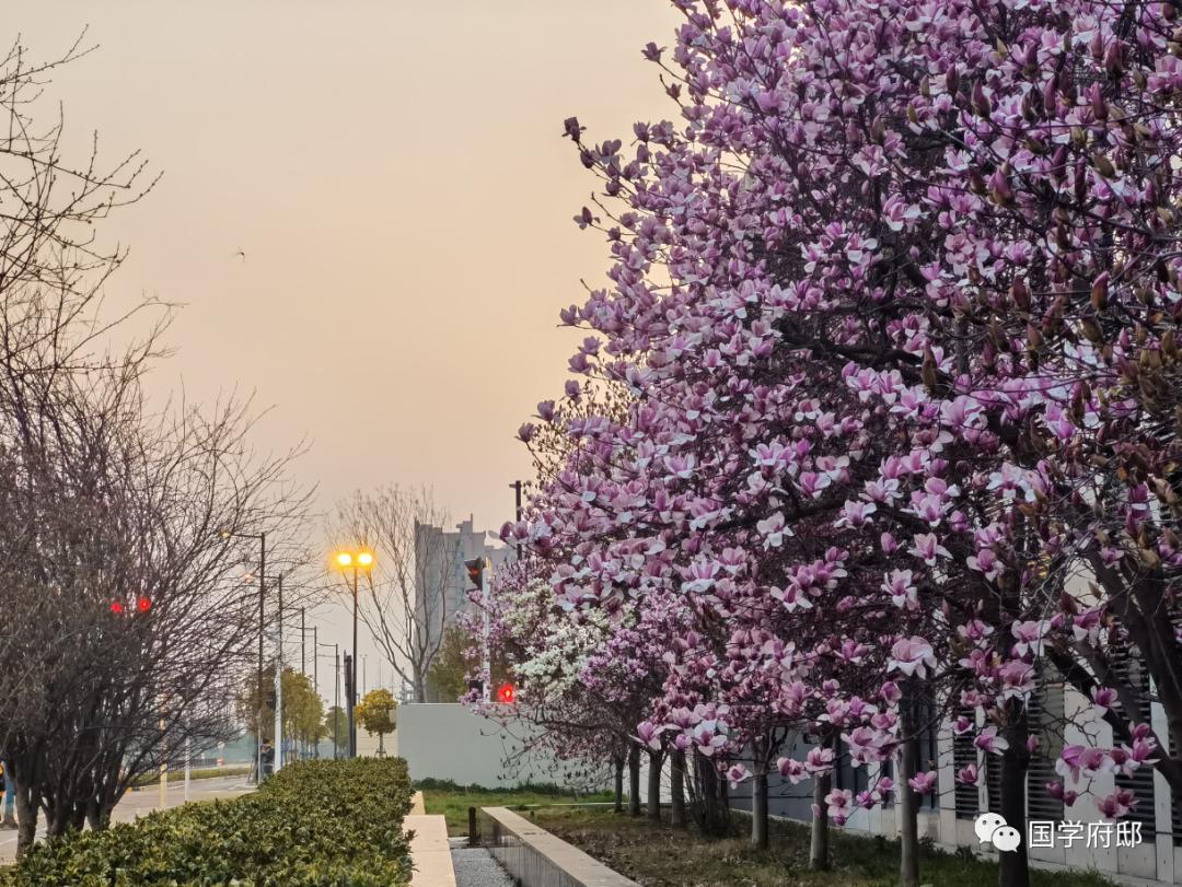 晚春美景的唯美诗句,遇见春天唯美诗词