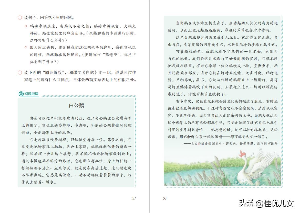 2020春部编版四年级下册语文课本,2023最新语文书四年级下册电子版