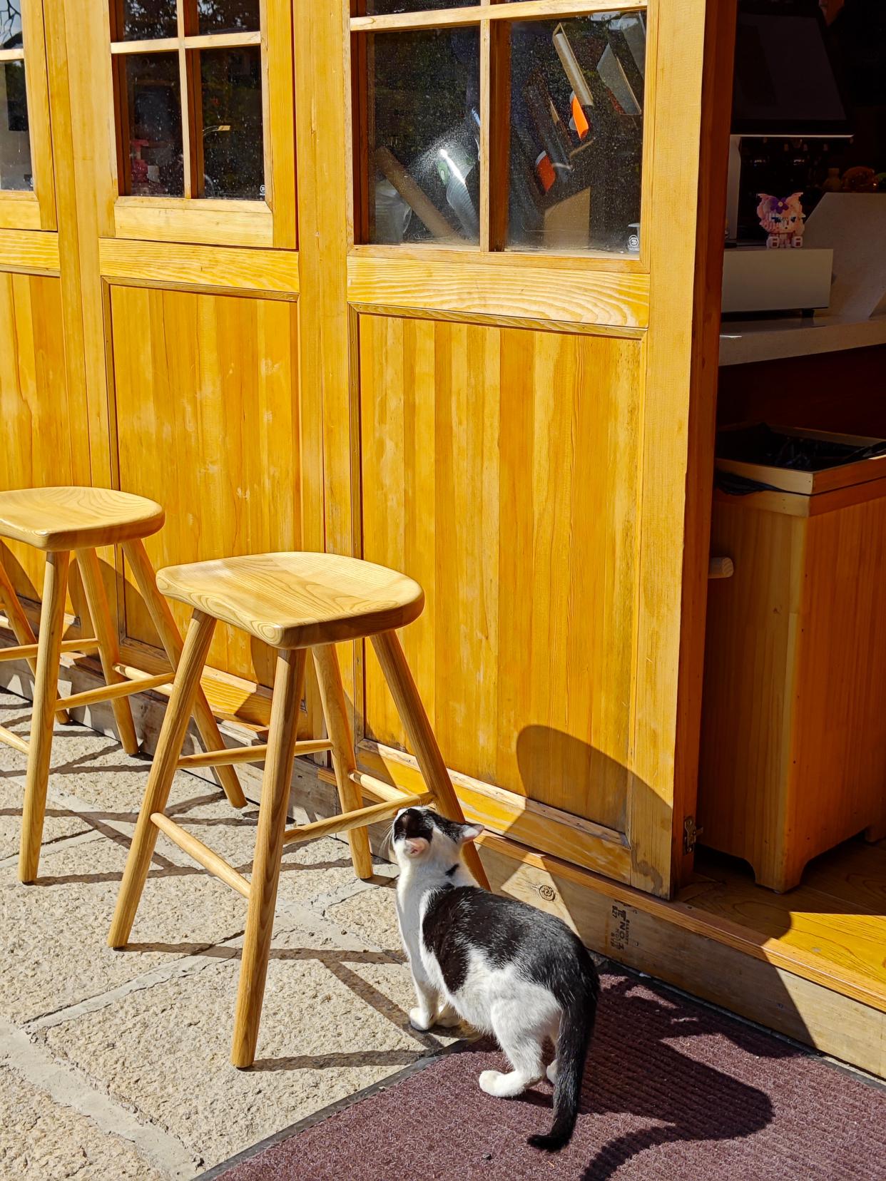 厦门南普陀春联越来越好,厦门南普陀什么时候赠送春联