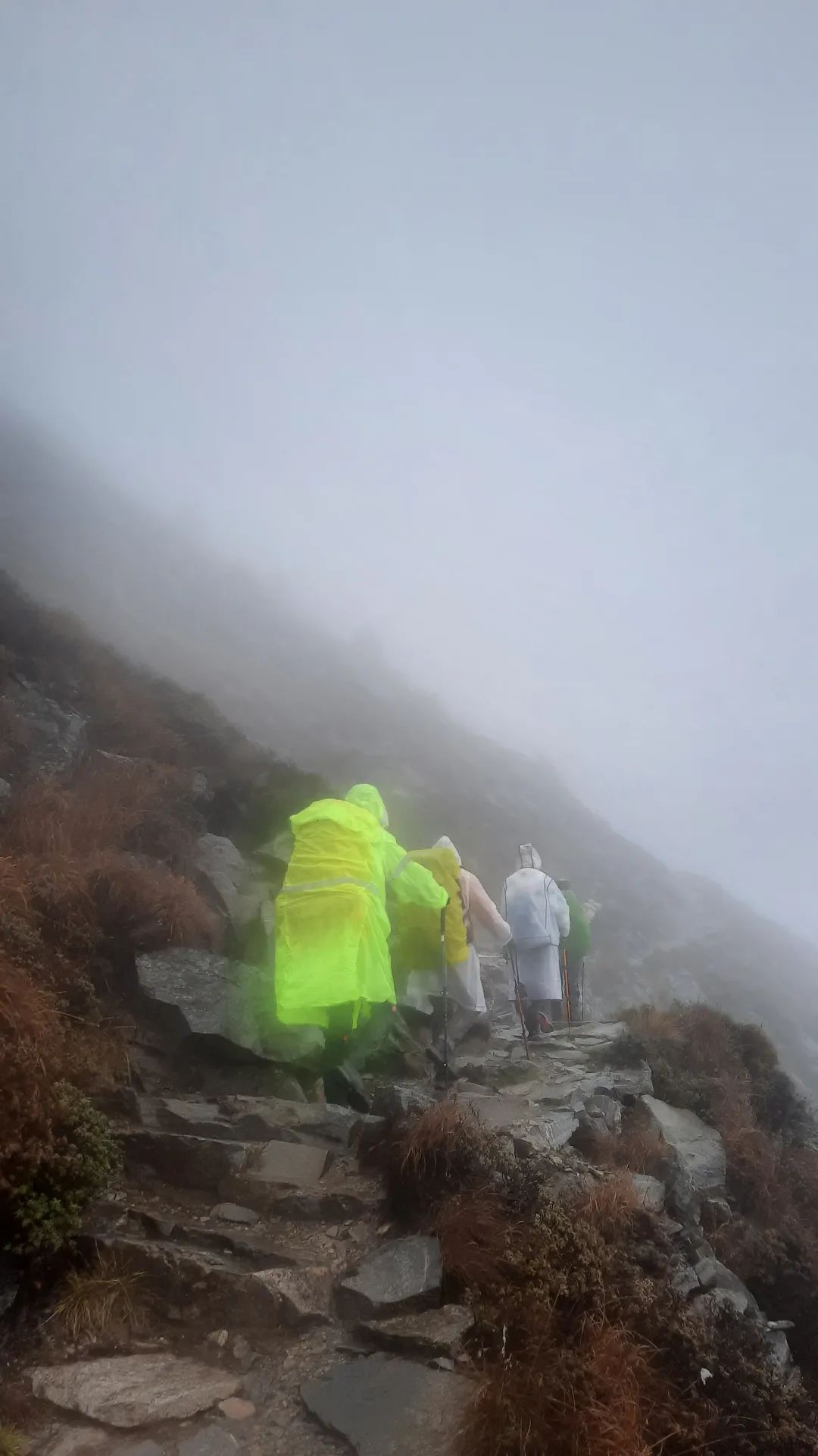 太白山是陕西最高点吗,秦岭最高峰太白山
