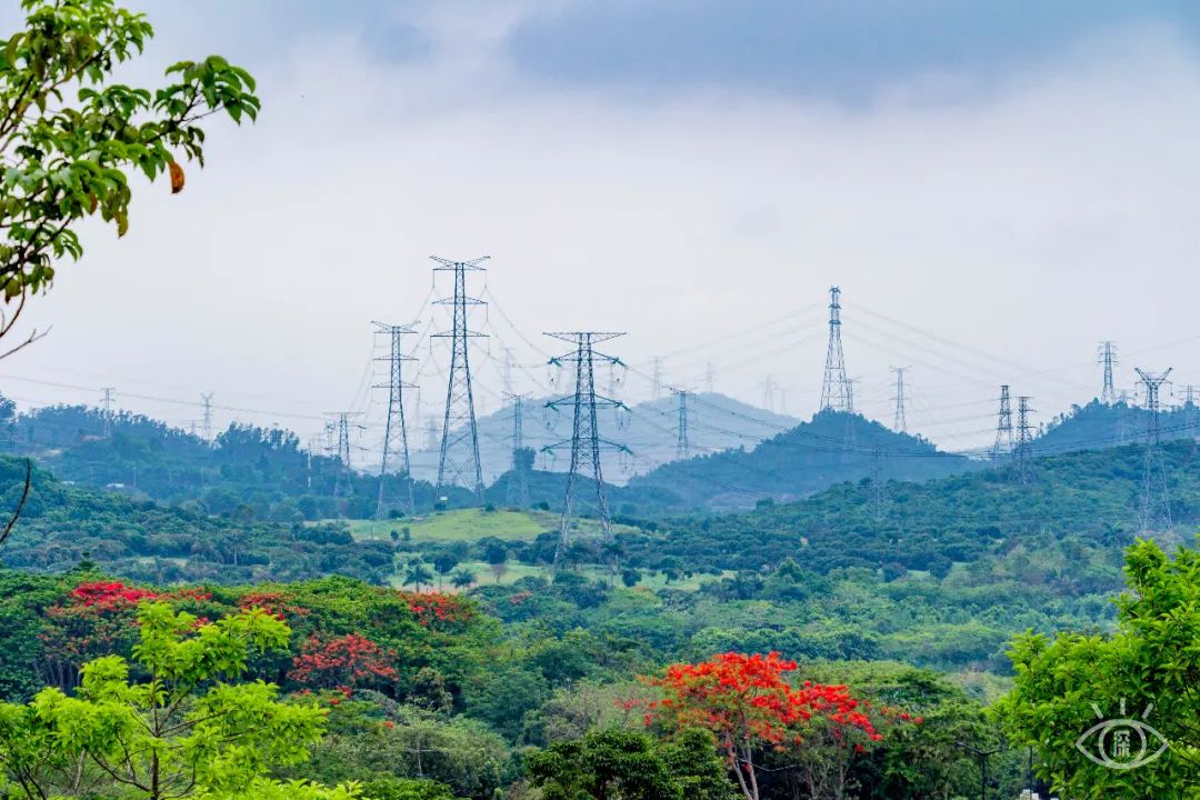 深圳10公里跑步路线,深圳跑步路线推荐塑胶跑道