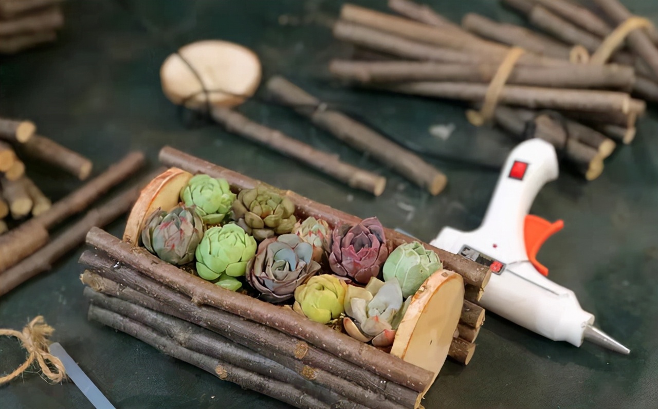 垃圾别丢，顺手改造个“花盆”，一年能省不少钱