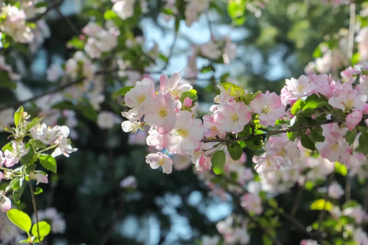 00后小伙开脱单便利店,90后小伙创业开超市