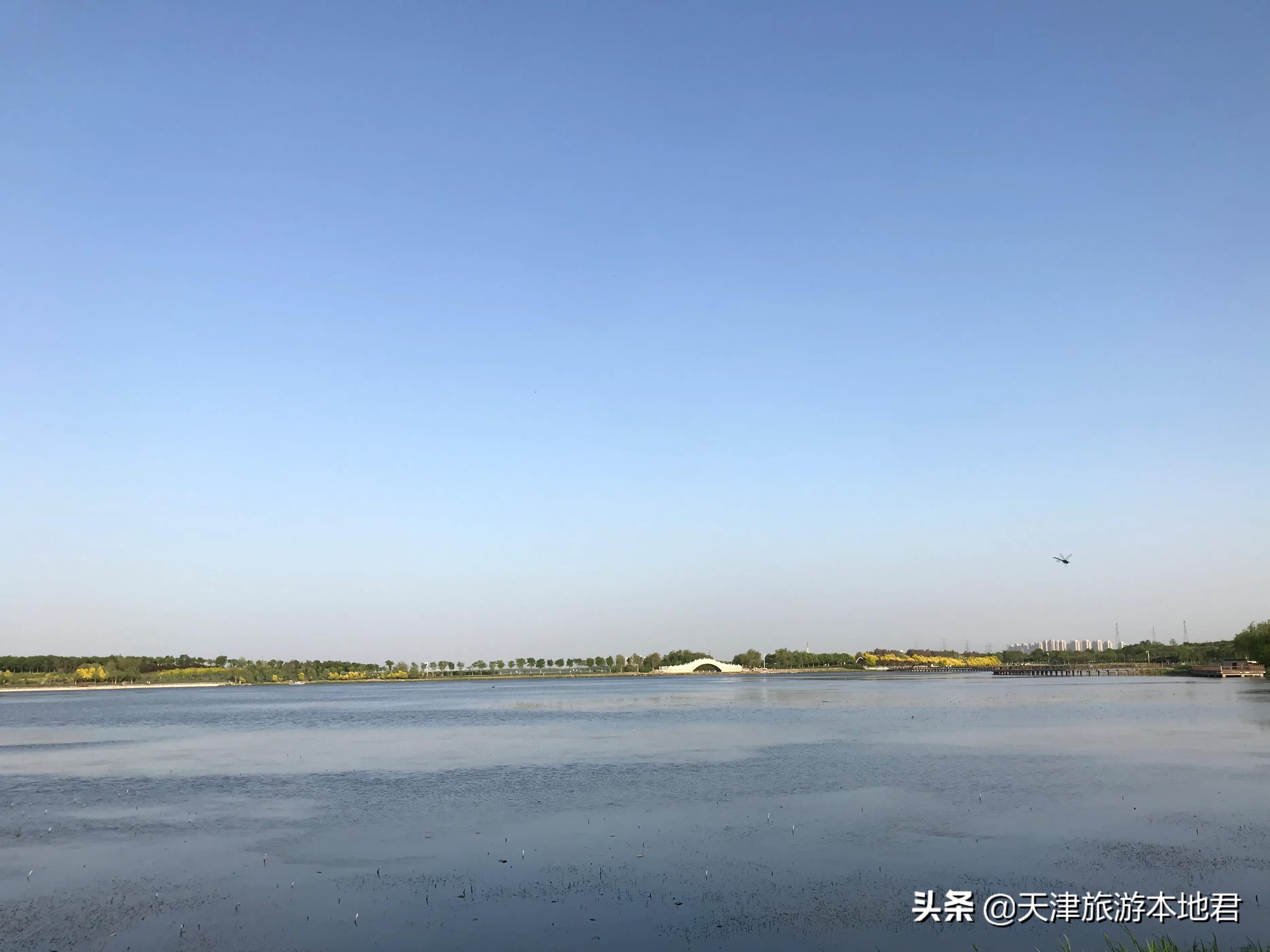 天津东丽湖公园荷花节什么时候开,东丽郊野公园好还是东丽湖公园好