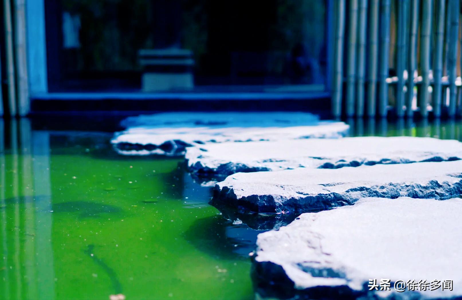 星云大师谈人生学,星云大师教人生存之道