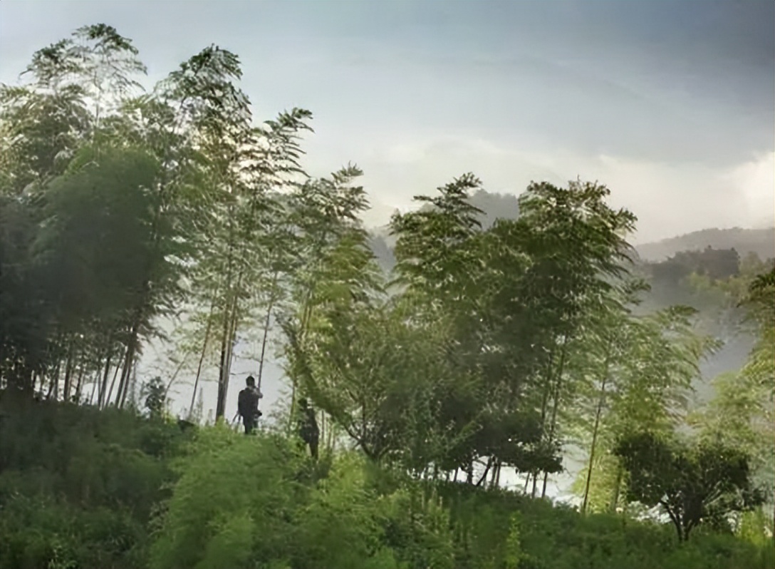 金城著名地方,金城历史由来