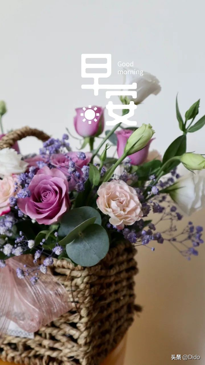 早安心态好一切都好问心无愧就好,早安做事问心无愧就好