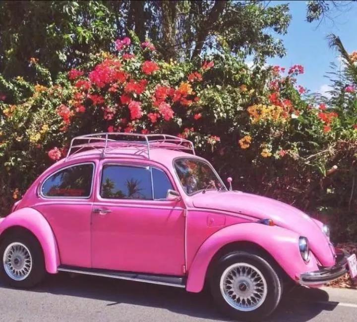 亿万少女的天选之车——甲壳虫，停产以后还值不值得入手？