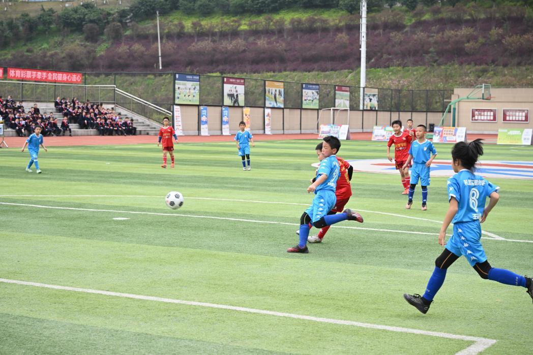 公益体彩进校园,体彩公益在行动二维码