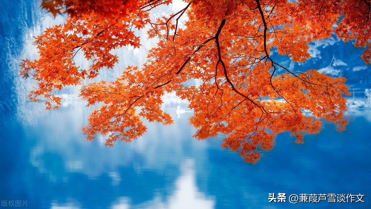 三年级习作我有个想法例文,三年级第六单元习作我有一个想法