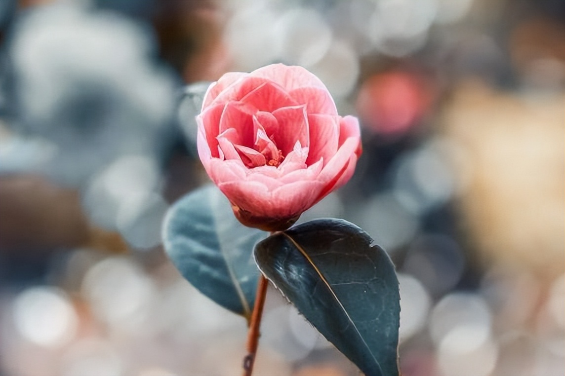 对你有恩的人不要请吃饭送礼,对你有恩的人对你态度不好怎么办