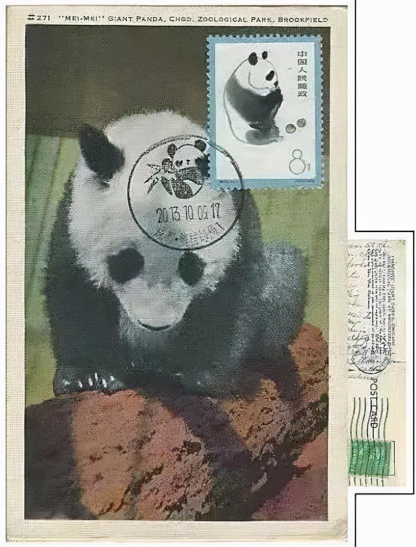 盼盼大熊猫简介,首个中国大熊猫国际形象