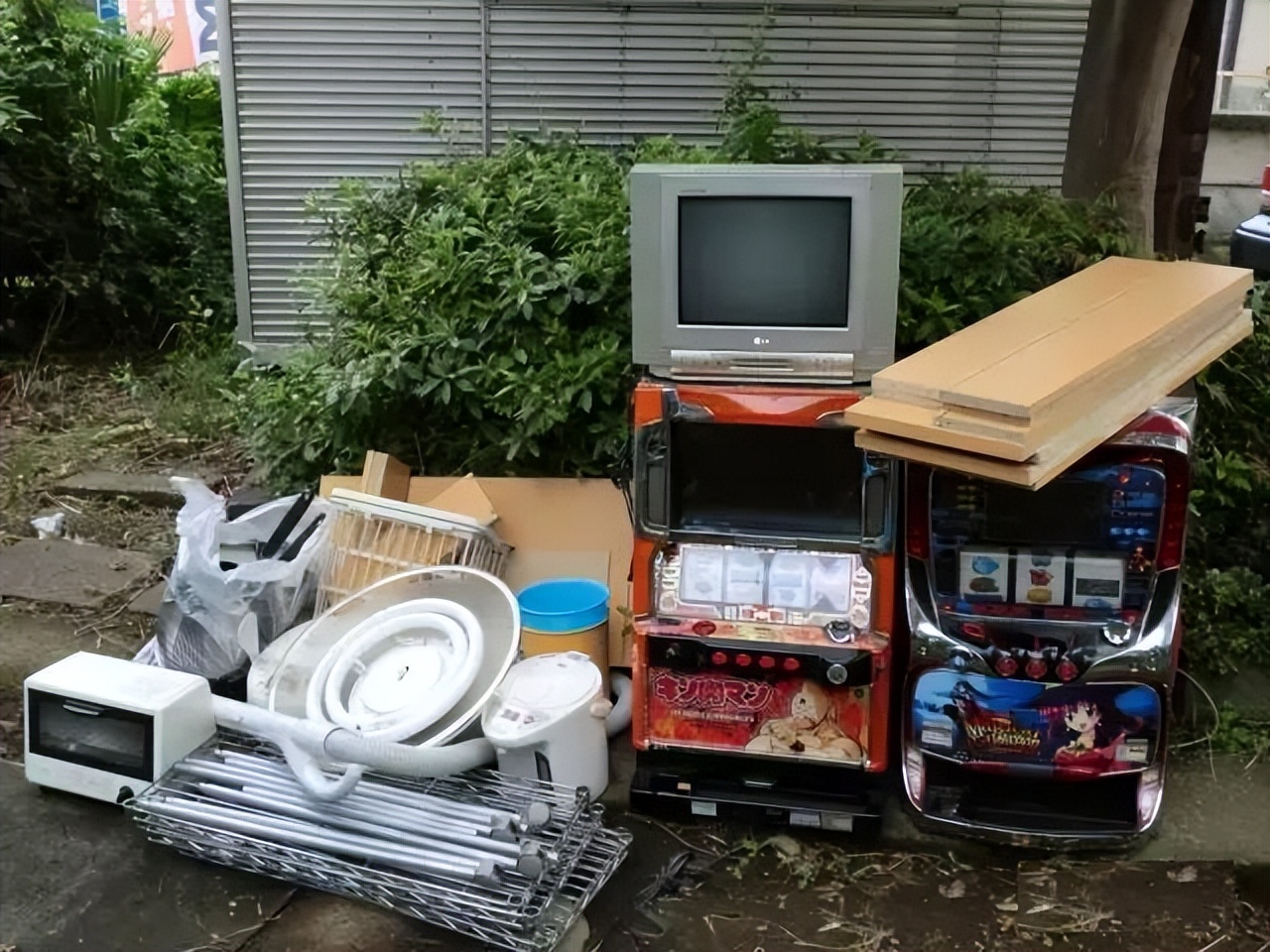 我,90后,初中生,日本务工三年,带回72万,被小6岁大学生表白