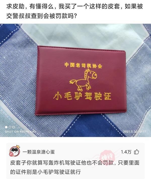 「盐选神回复」我严重怀疑我是充话费送的