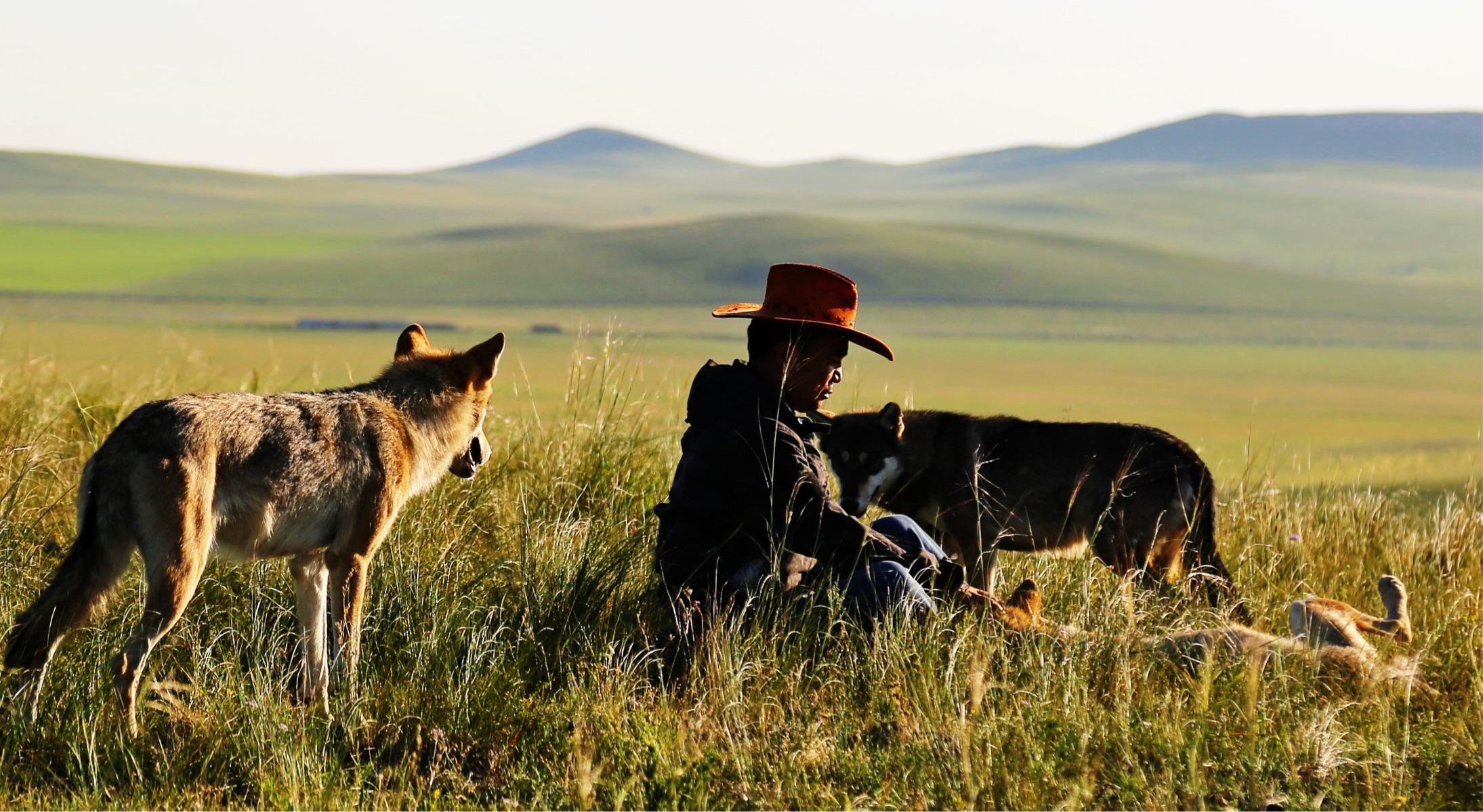 中华田园犬的血统是狗中最高贵的,中华田园犬五大名狗品种