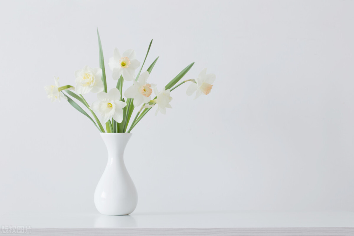 自媒体如何制作视频才能有收益,做自媒体怎么发视频收益最高