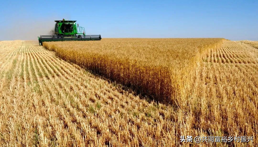 世界十大最顶尖的农产品强国,世界十大新型农业产品