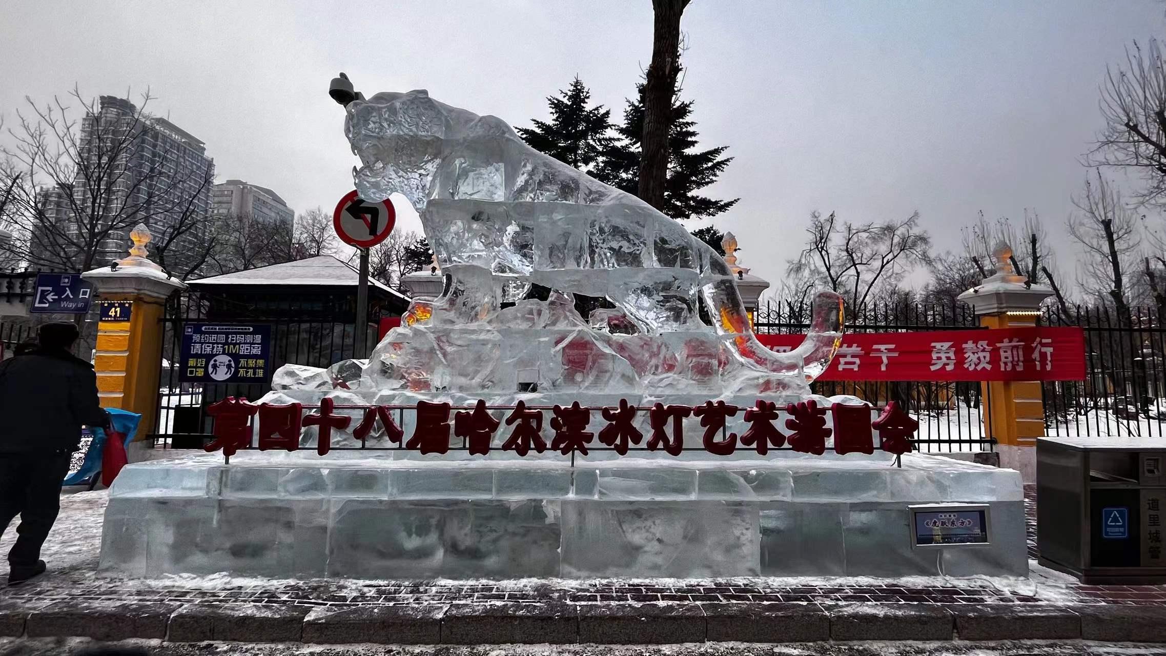 来哈尔滨没吃过花钱的烧烤,来哈尔滨带什么特产回去