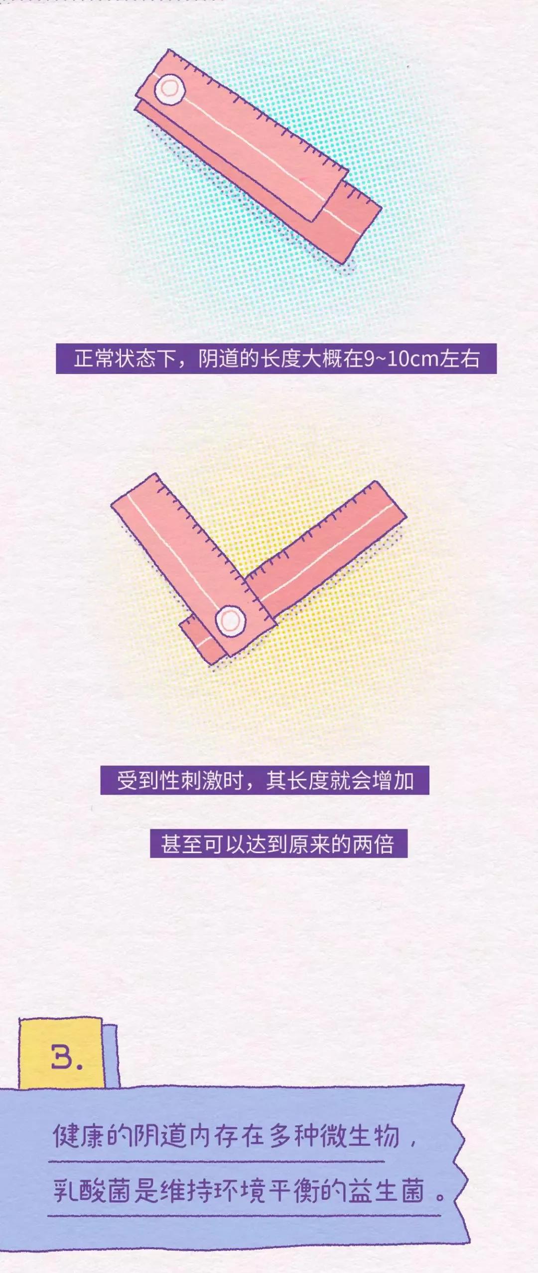 女性阴道生理科普知识大全书,女性阴道生理科普知识大全集