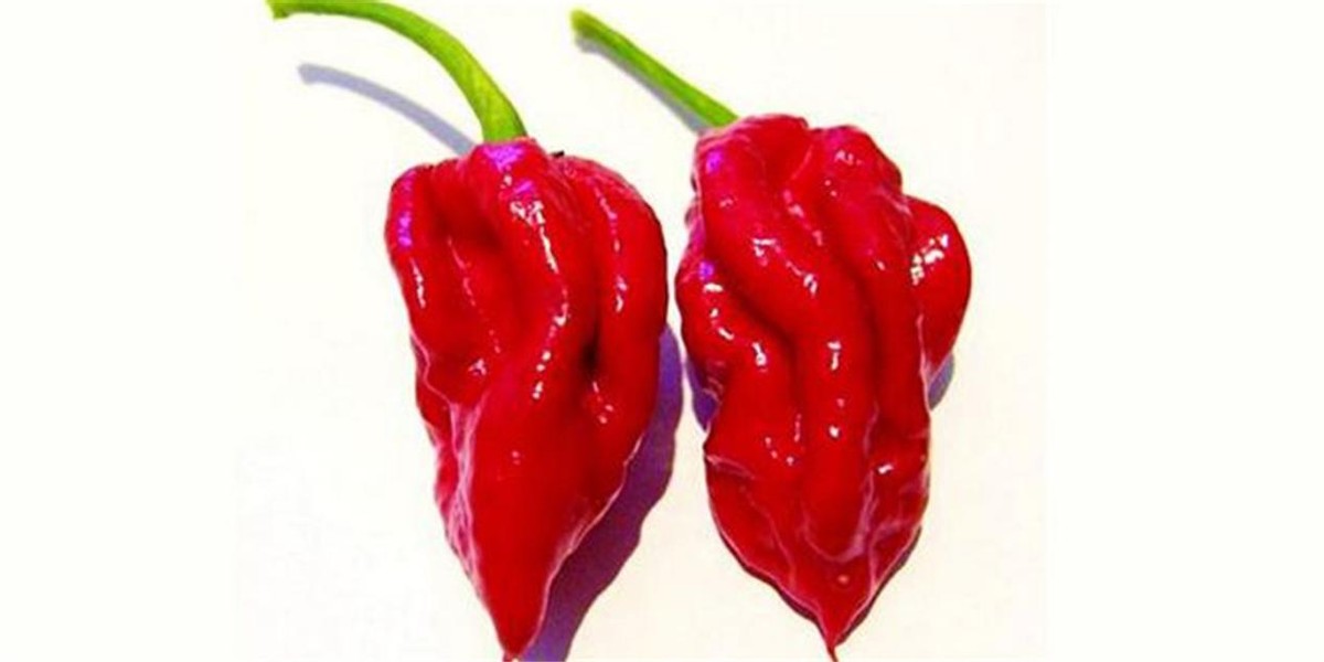 比印度魔鬼椒还要辣的辣椒,印度魔鬼椒的辣度排名第几
