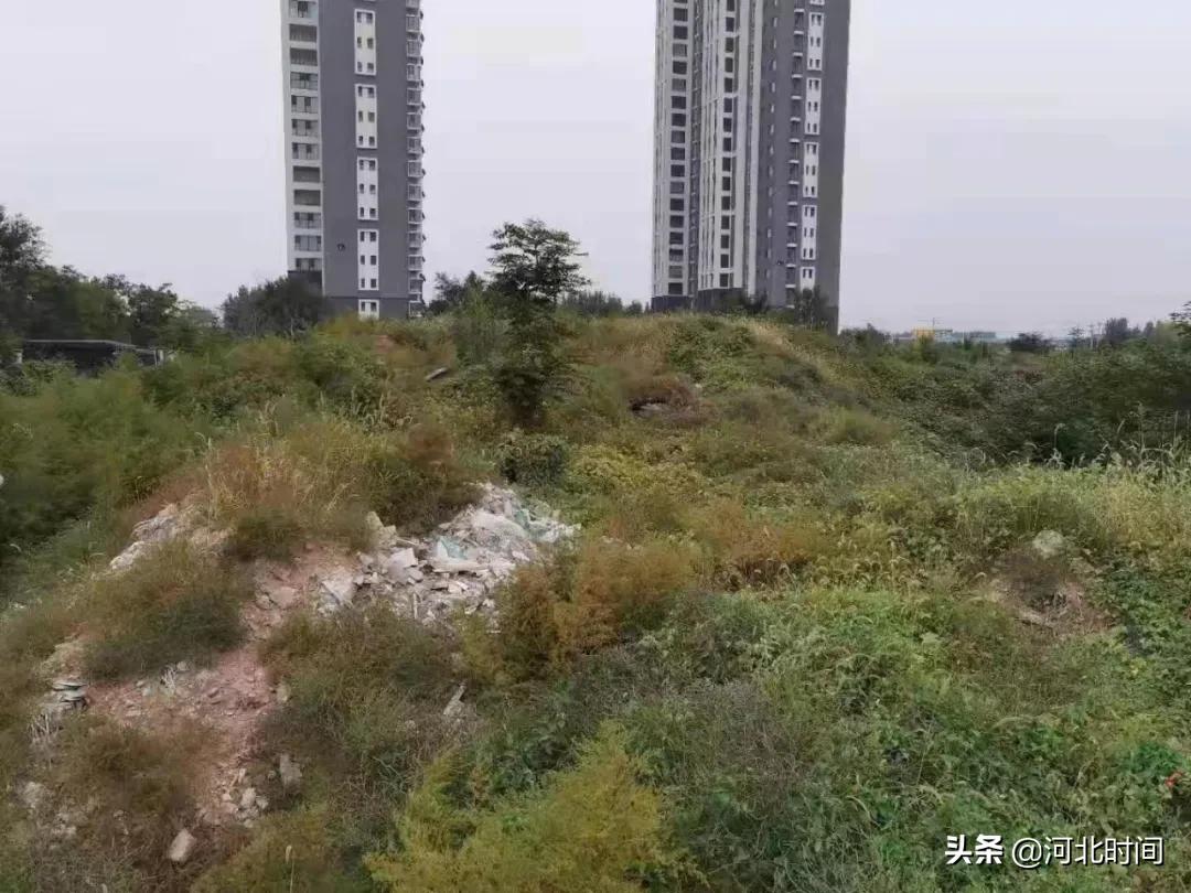 邯郸市邯山九鼎小学,邯郸市邯山区九鼎小学怎么样