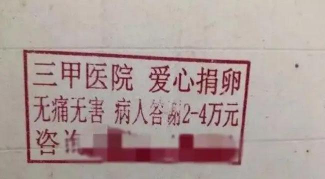 高校女厕见不得光的“高薪兼职”，撕碎了多少女大学生的遮羞布