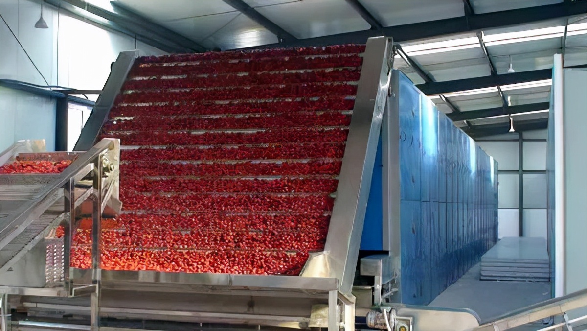 一套大型辣椒烘干设备需要多少钱,辣椒烘干设备全自动