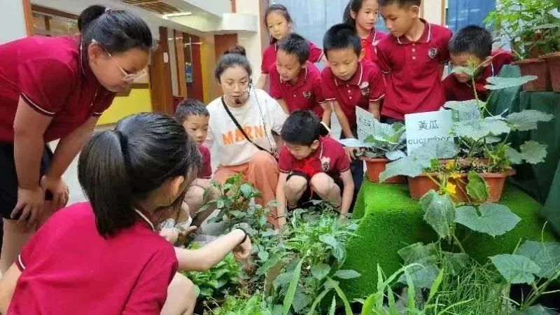 石外2022保送,获奖殊荣