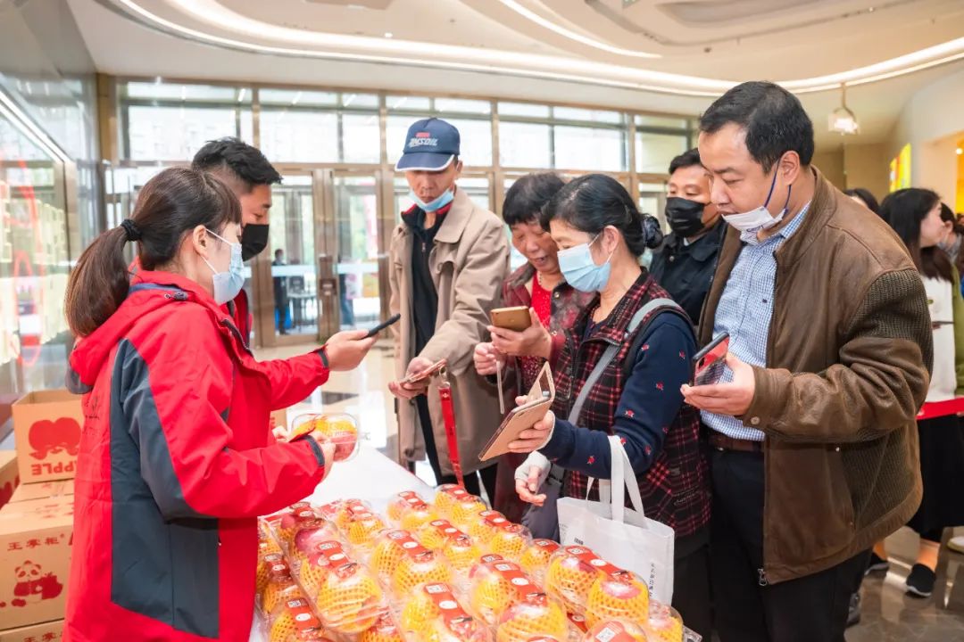 一起来看美丽的淀山湖,一起来看苏州京杭大运河
