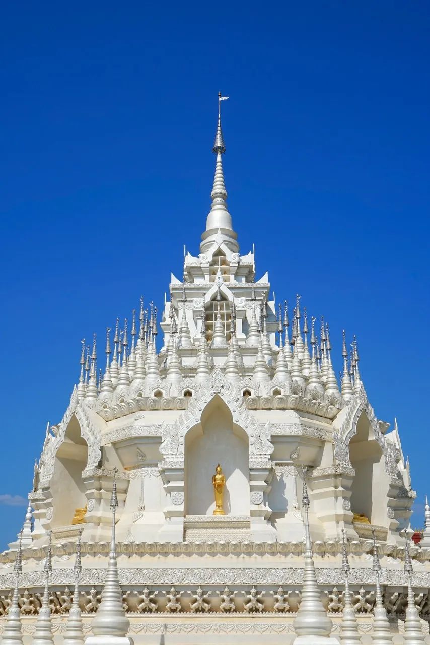 西双版纳体验雨林,吃遍热带水果西双版纳