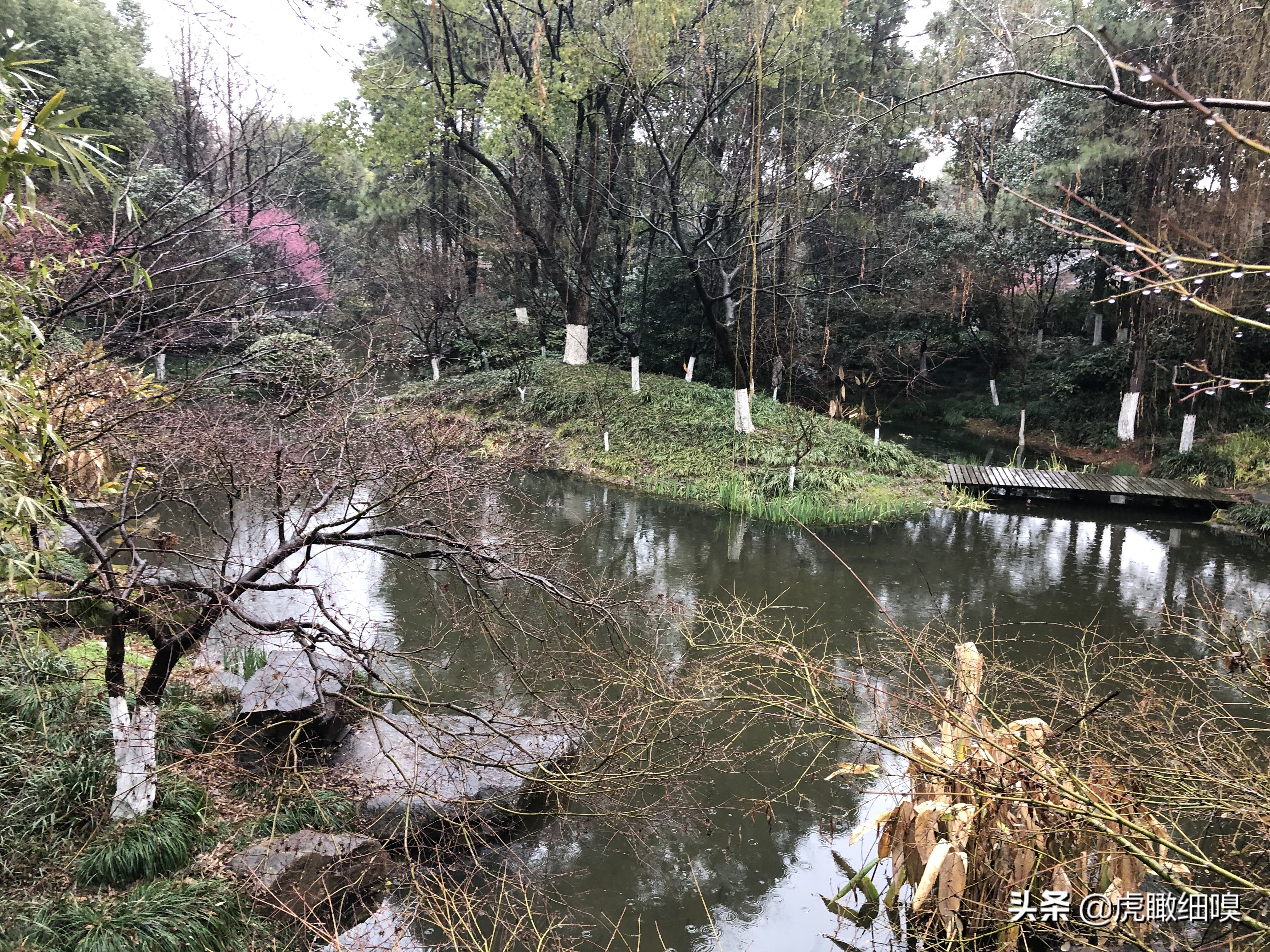 临平水景公园秋天,临平公园当地知名度最高的公园