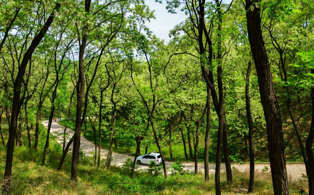 济南大自然氧吧,济南氧吧景区