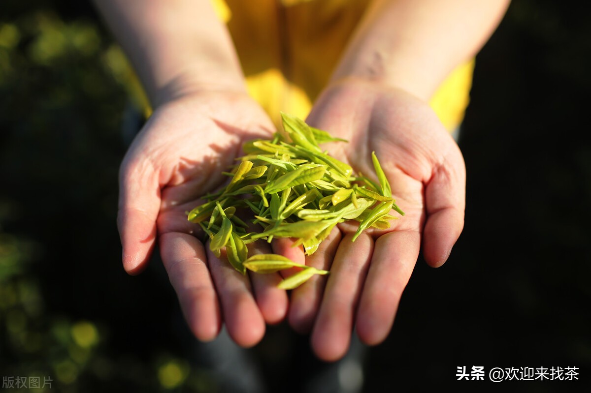 送礼送什么茶实惠又大气,送人送什么牌子的茶最上档次