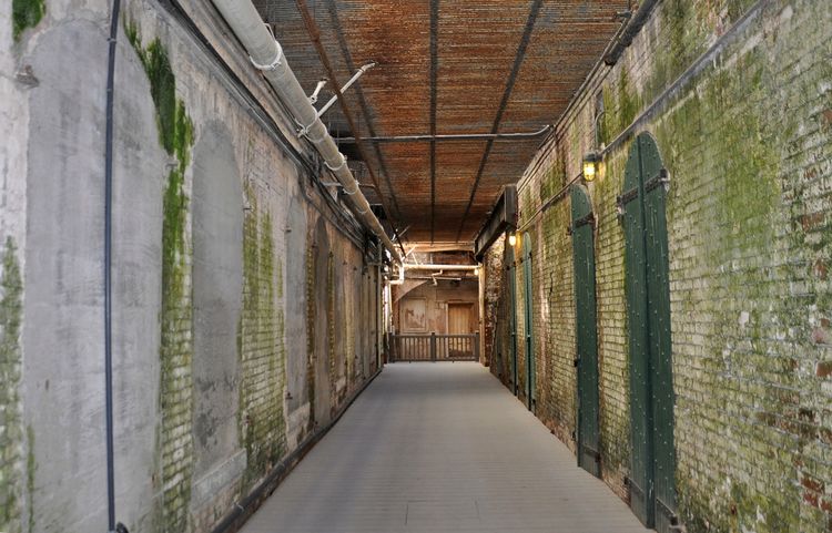 回味旧金山探访成功者的庄园,一种窗口令艾尔卡彭等囚犯备受折磨