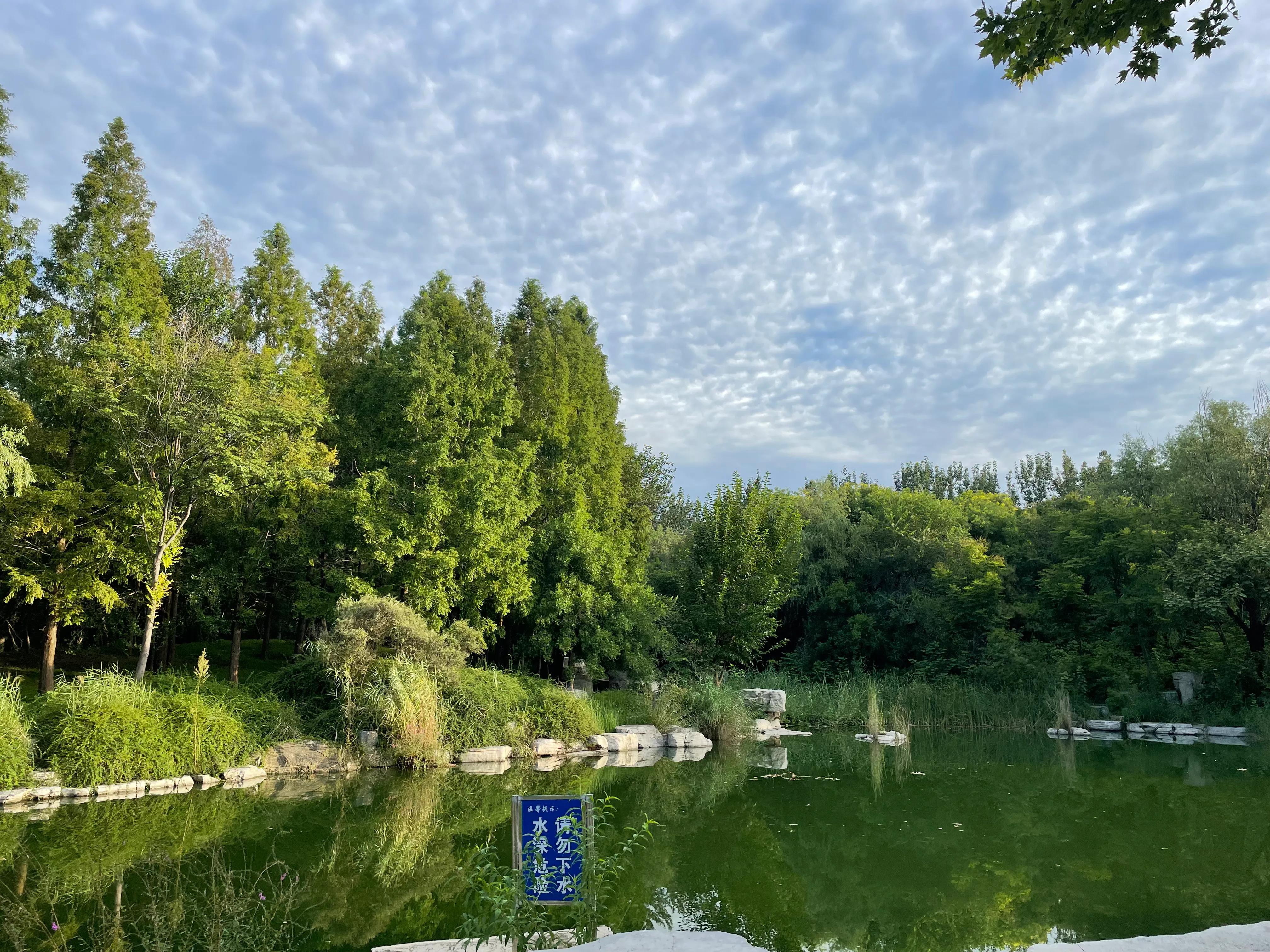 怎样工作越做越顺,工作从来就不曾轻松过