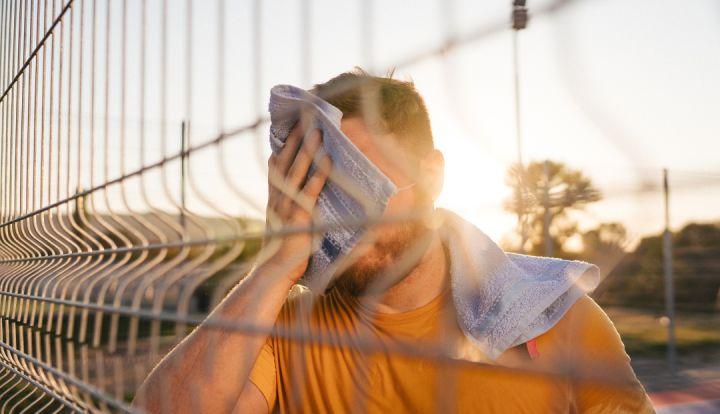 wildfieldhealth蛋白粉的副作用,wildfieldhealth天天喝酸奶好吗