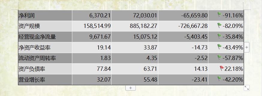 求一份简单的财务分析报告的范本,财务经理财务分析报告