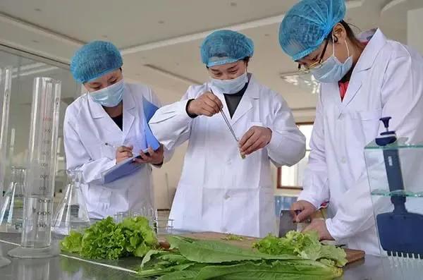 食品质量与安全专业就业方向前景,食品营养与健康专科专业就业前景