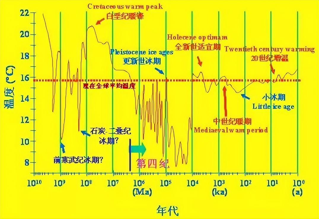 人类的舌头是怎么进化的,为什么人类最强的肌肉是舌头