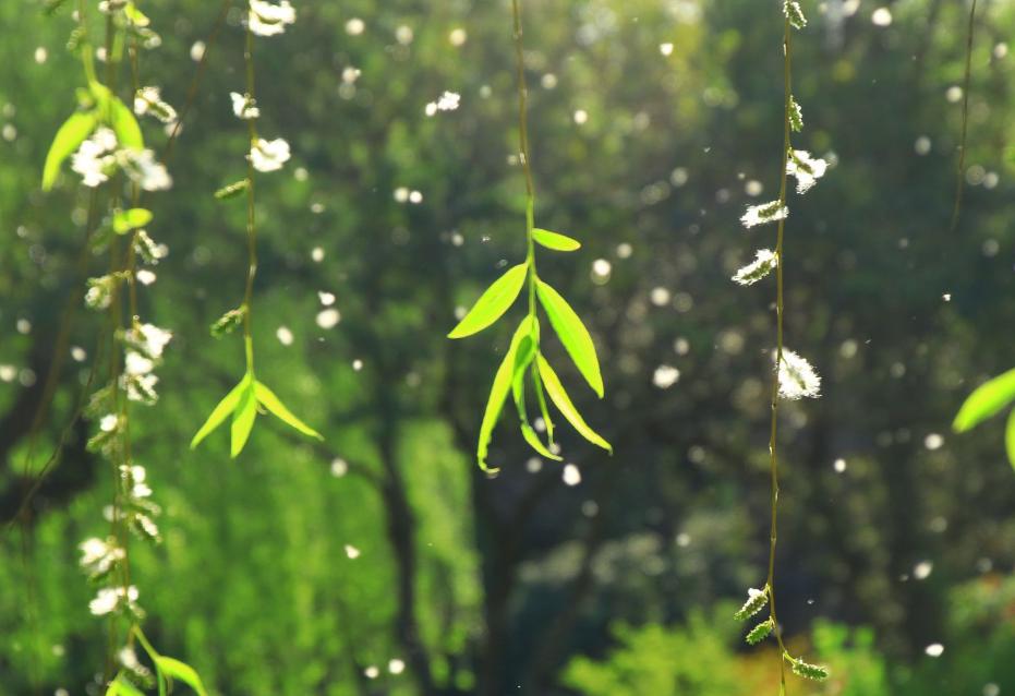 古今最有名的十首诗排名,中国历史上最凄凉的六首诗