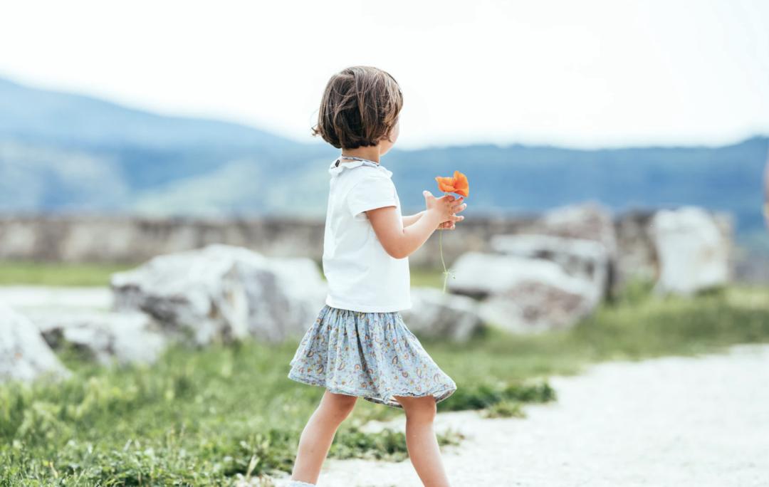 教育孩子的5大黄金法则,教育孩子的十二项法则你认同几条