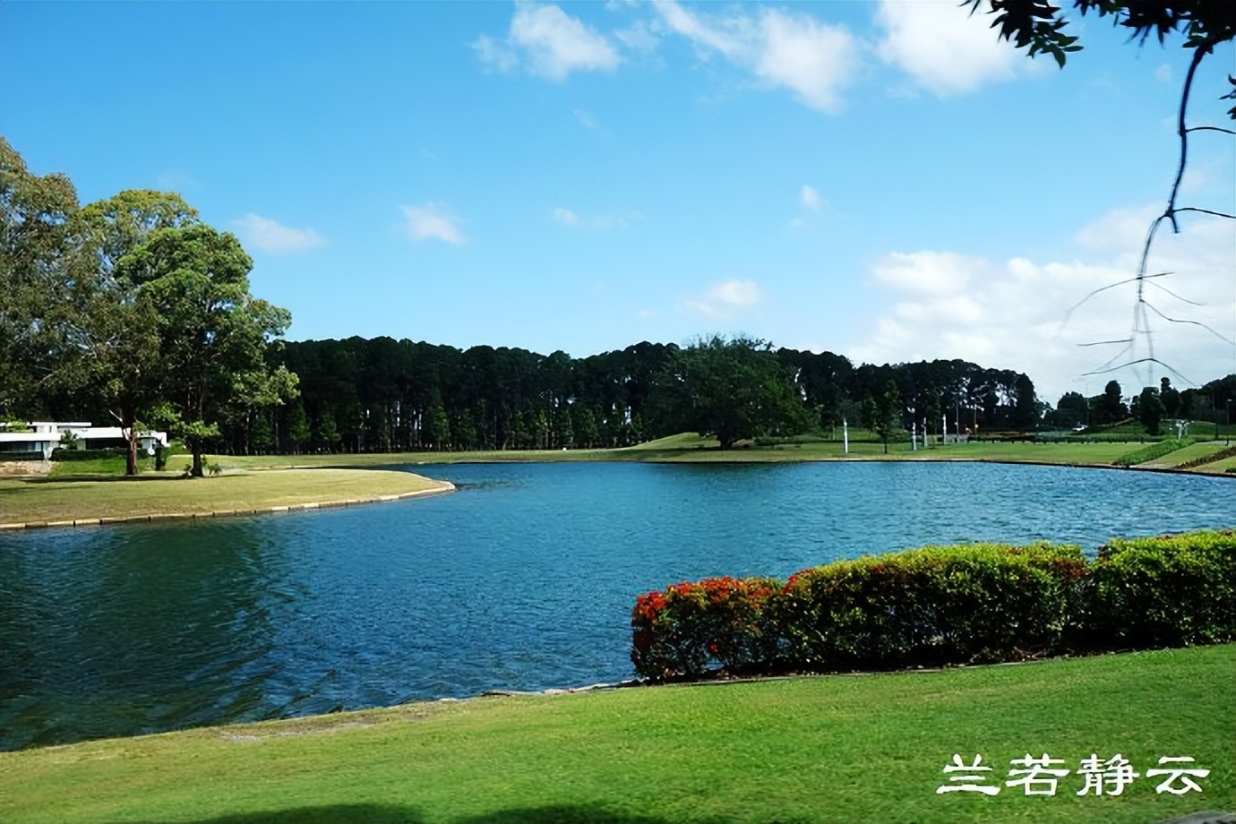 在“神仙湾”看澳洲人炫豪车，简直像车展