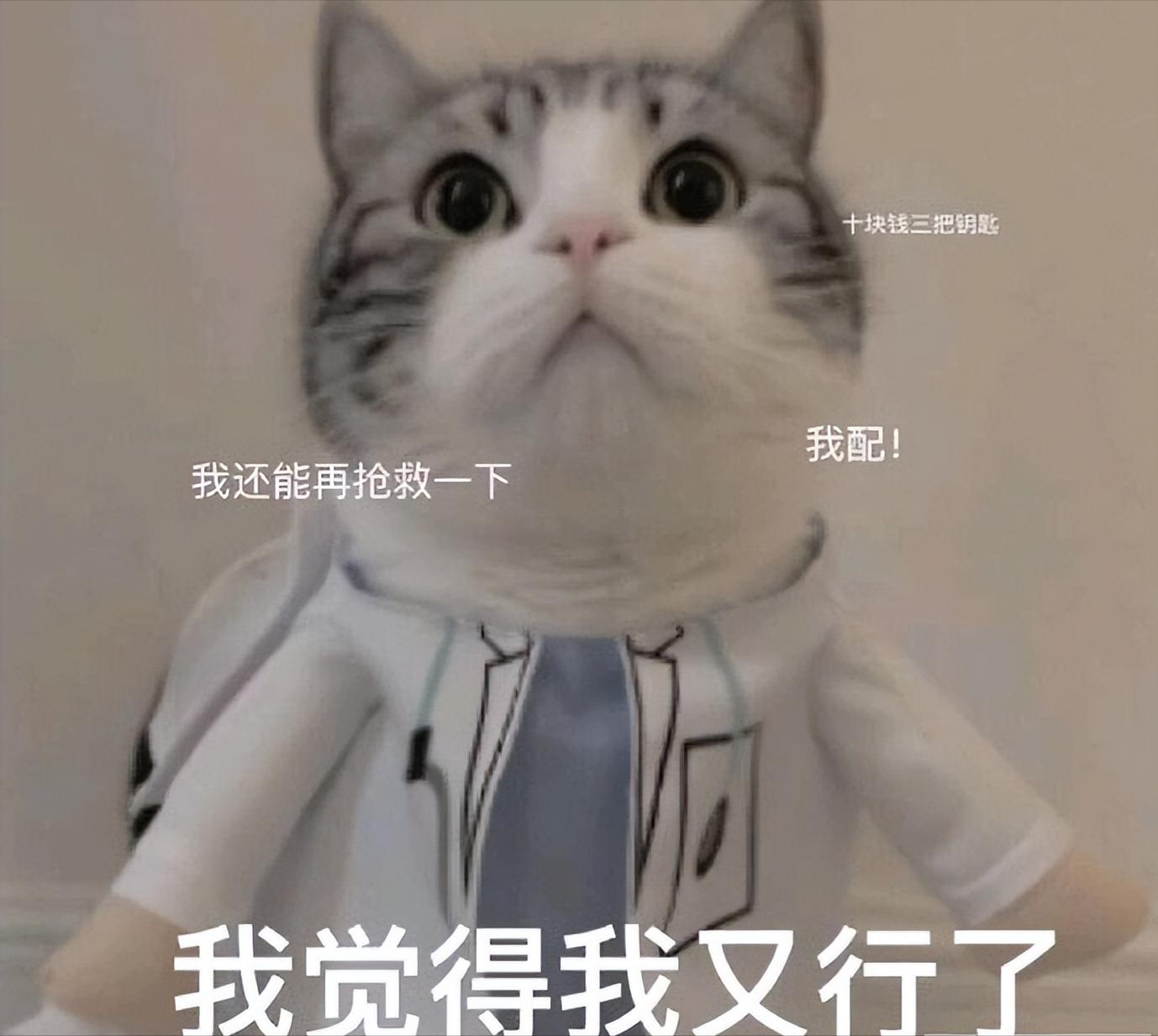 一文看懂—新能源汽车（HEV、PHEV、SHEV、EV）种类详解