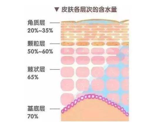 保湿护肤到底有多重要,故事情节护肤品