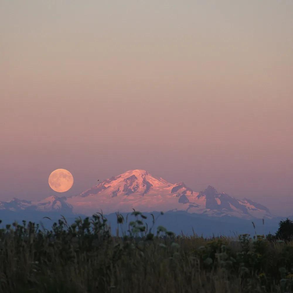 唯有热爱可抵万难背景图,朋友圈背景图爱迎万难