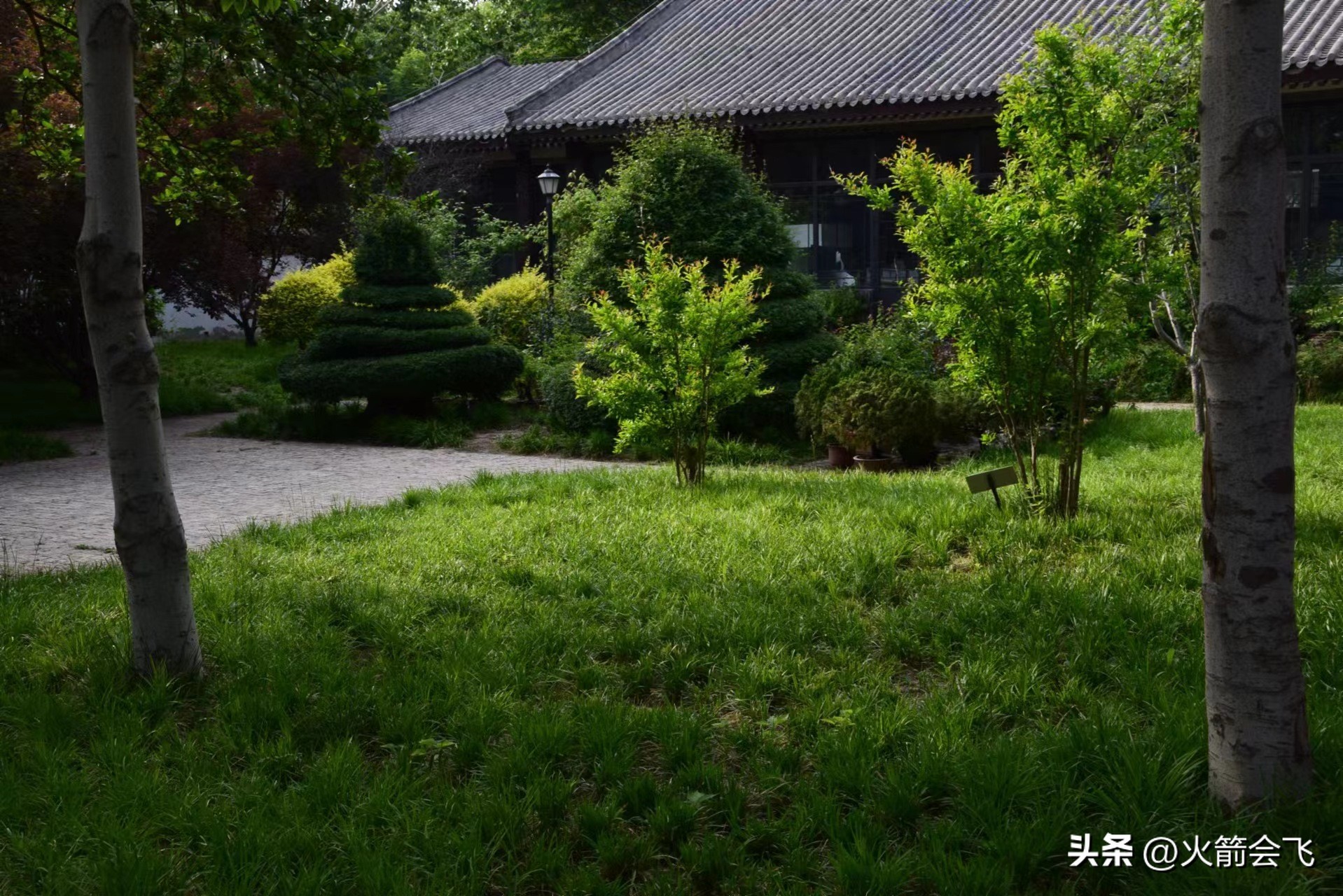 天津旅行攻略七日游价格多少,12小时极限游天津