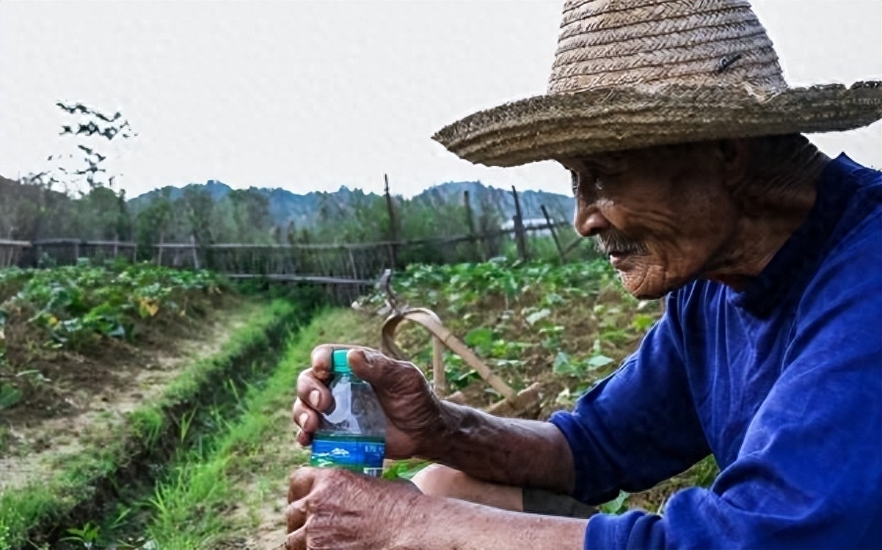 儿子不幸离世，赔偿款被公婆全部拿走，儿媳还有义务给他们养老吗