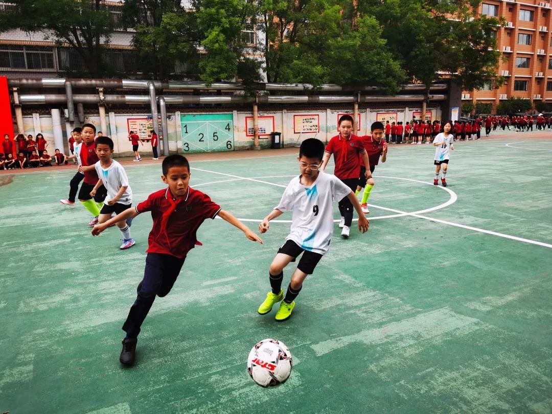 五育并举逐梦巅峰再创辉煌,五育并举缤纷绽放