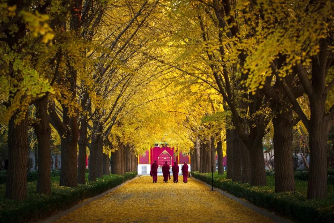 北京雍和宫活佛,北京雍和宫