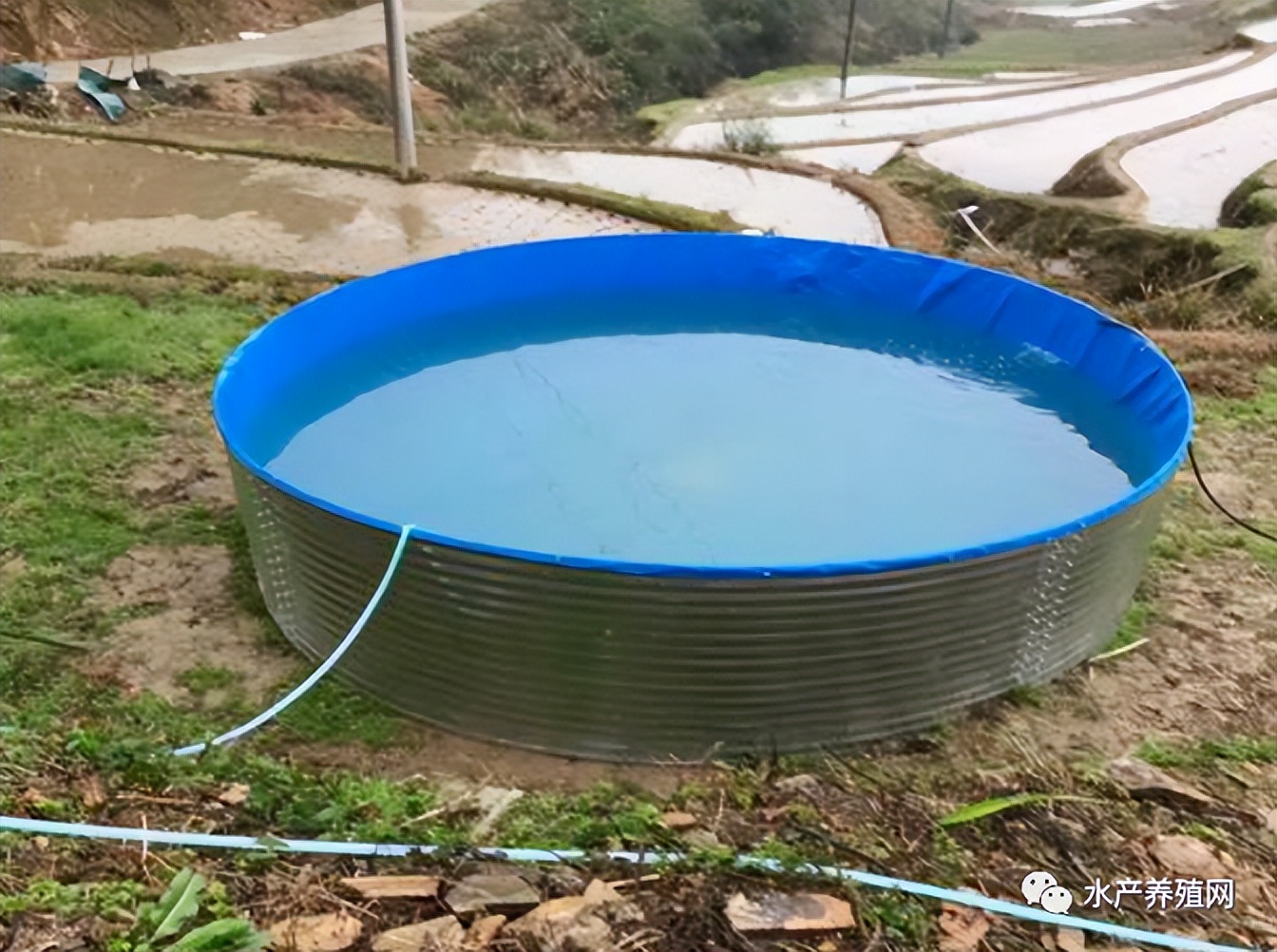 帆布池养殖加盟套路,帆布池养殖风险分析